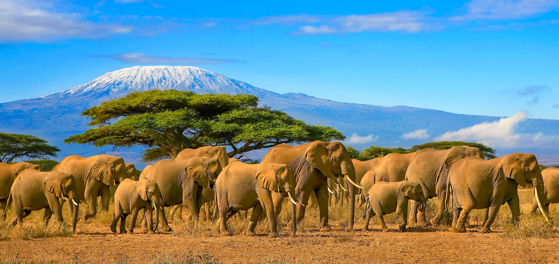 Kilimanjaro, Tanzania