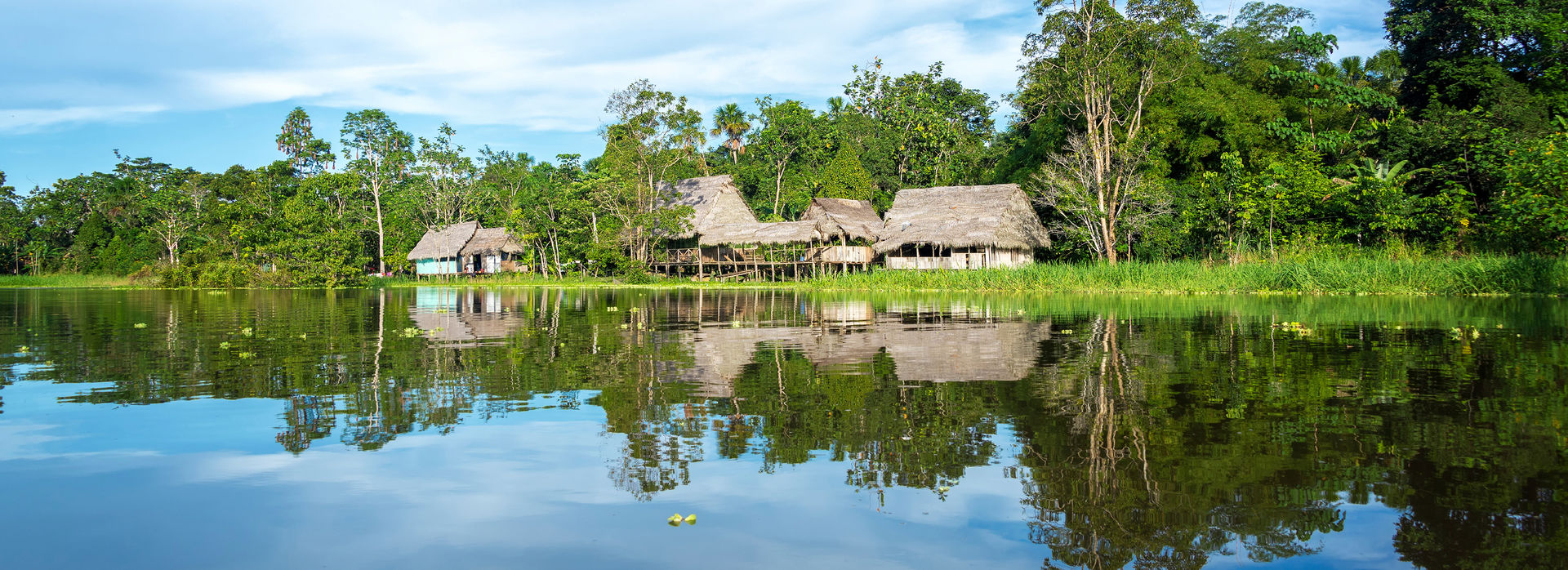 Lost in the Amazon 