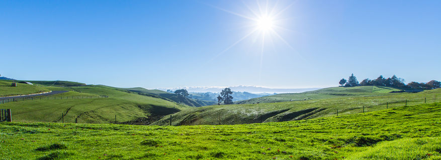 Magical Waikato