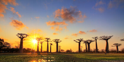 Madagascar sunset