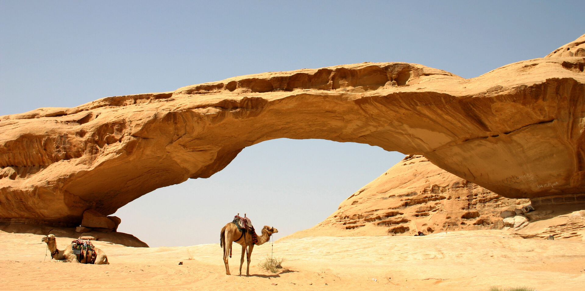 Egypt & Jordan Adventure