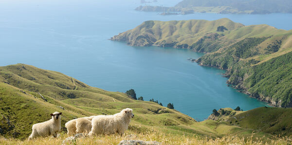 Marlborough Sounds