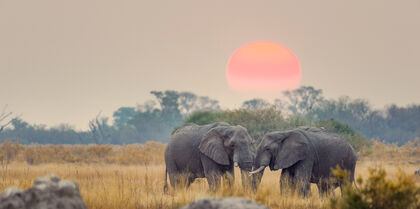 Africa-BotswanaX