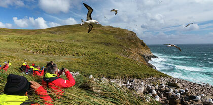 Falkland Islands