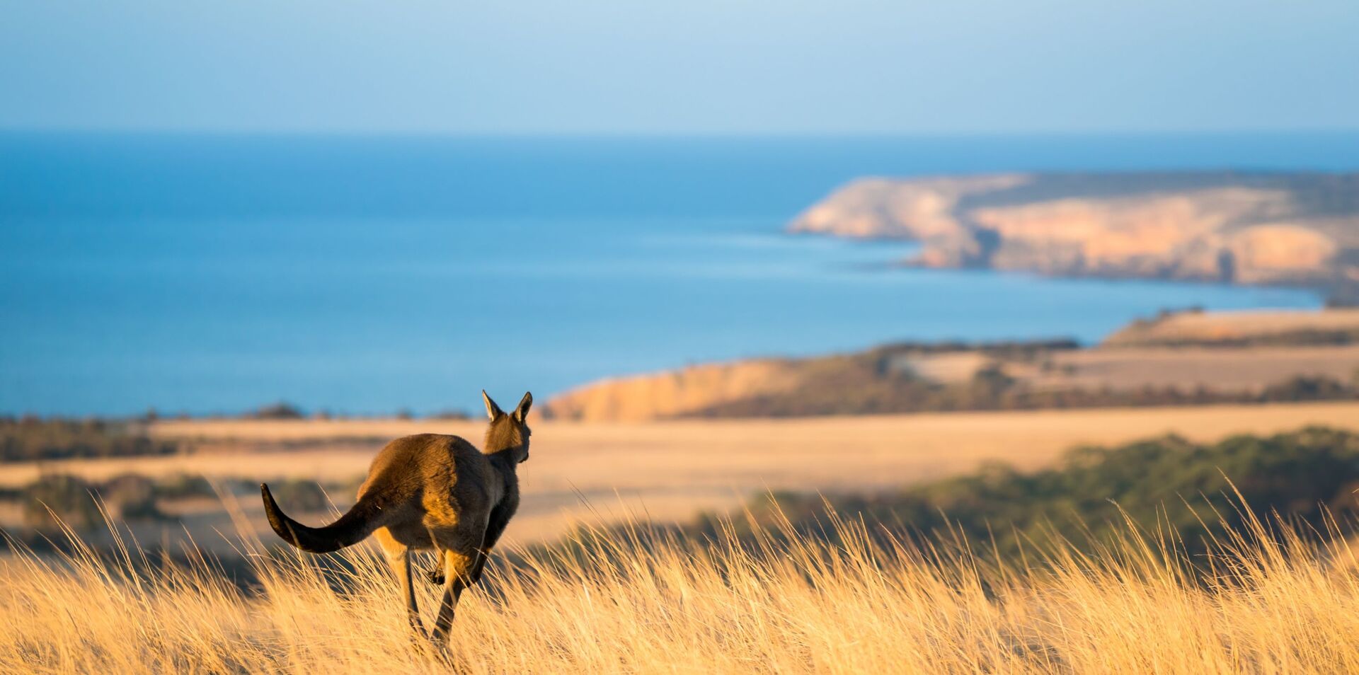 South Australia Nature Trail